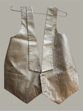 Robert Talbott Textured Vest - Like New